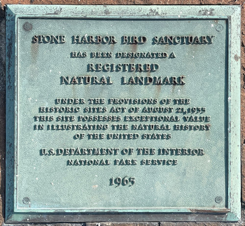 Plaque